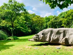-上海吴淞炮台湾国家湿地公园