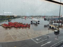 -味千拉面(广州白云机场T1西二店)