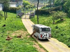 -贵州森林野生动物园