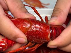 -霸王虾·麻辣小龙虾(清水河公园店)