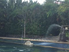 -三亚珠江南田温泉度假区