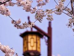 -鸡鸣寺