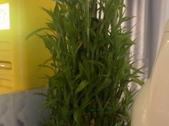 -江南玥养生公馆(宝山店)