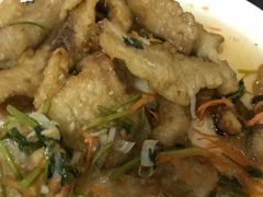 -金鹏鱼肉馆