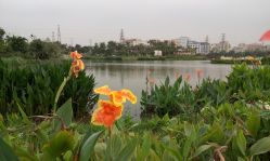 点击看大图 -云湖游乐园