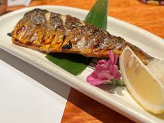 烤青花鱼-南风(淮海街店)