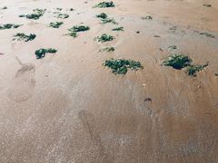 -青岛银沙滩温德姆至尊酒店