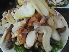 -野菌皇海景野生菌火锅(滨海大道店)