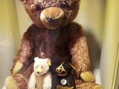 -济州岛泰迪熊博物馆