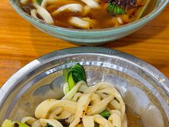 -福鼎褚翅