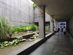 -中国湿地博物馆