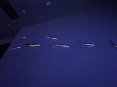 -避尘 Bsense·SPA(新会展总店)