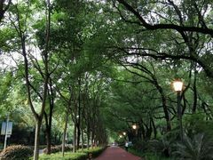 -南昌青山湖风景区