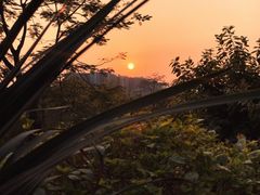 -碧桂园十里银滩