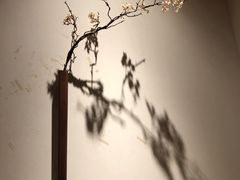 -山杏yama-katsu·吉列炸物