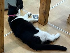 -华兴街自力面店