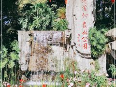 -广州市流溪河国家森林公园