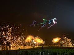 -南宁花花大世界景区