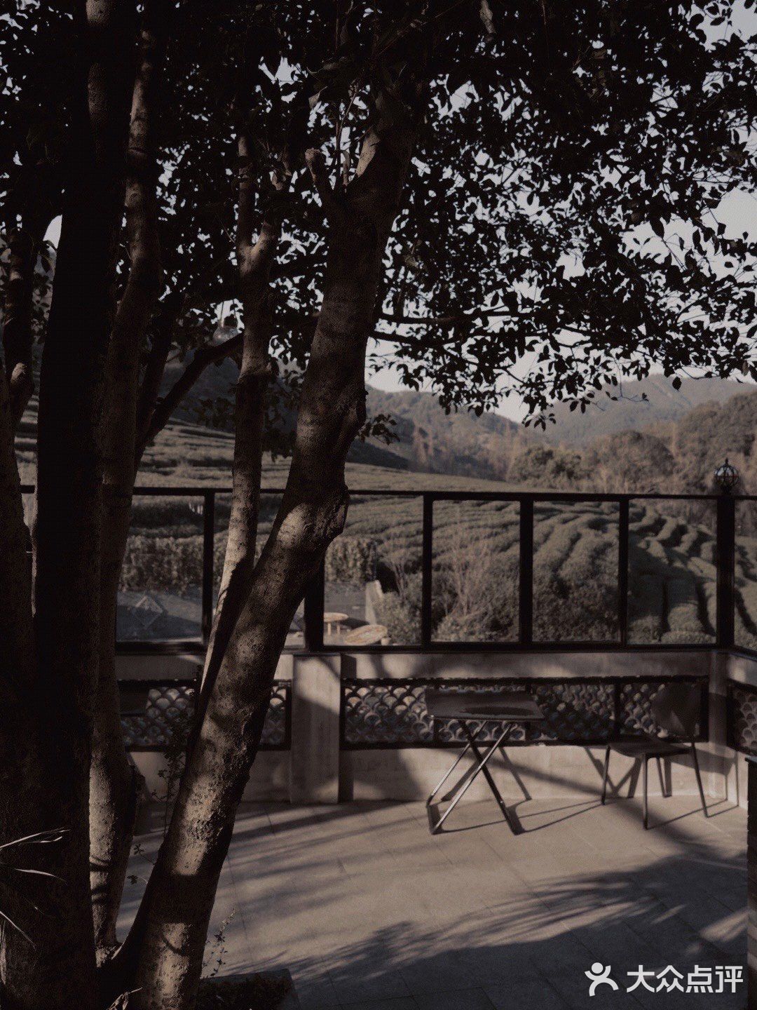 杭州探店 | 就地修仙 藏在绝美茶馆里的小京都