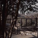 杭州探店 | 就地修仙 藏在绝美茶馆里的小京都