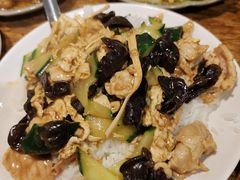 木须肉盖饭-小天府川菜馆(魏公村店)