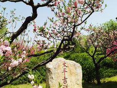 -莲花池公园