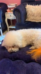 -Pink You美甲美睫纹绣定制中心