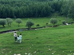 -芦芽山旅游度假区