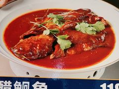 -三晋老田饸饹面(中大街店)