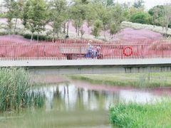 -上海滨江森林公园