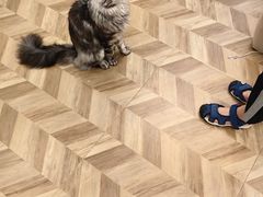 -怪兽屋·羊驼·猫咖·狗咖(俊华广场店)