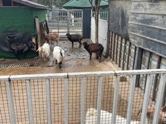 -洪湖家庭农场·团建·露营·会议