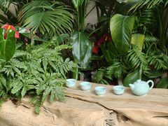 -中国茶叶博物馆(双峰馆区)