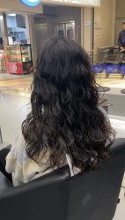 -东方麒麟·潘多拉SALON