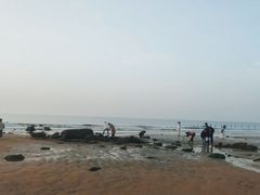 -渡海小渔村.老辈日照菜