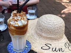 -Fern Forest Cafe