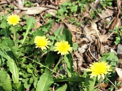 -溪口-滕头旅游景区