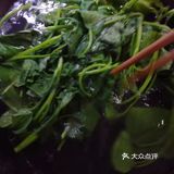 养生清肠水煮一切之水煮芍尖