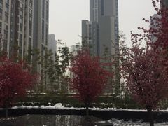 -龙湖西安曲江天街