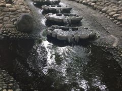 -成都市活水公园