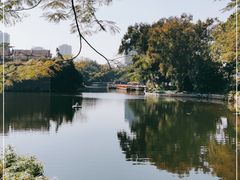 -荔湾湖公园