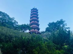 -南沙天后宫景区