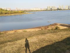 -盘龙城国家考古遗址公园