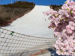 -北京万龙八易滑雪场