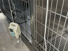 -申普宠物医院·眼科·心内科·影像科(普陀分院)