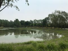 -东郊湿地公园