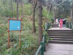 -鲁山国家森林公园