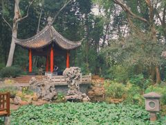 -深圳国际园林花卉博览园