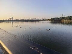 -海珠湖公园