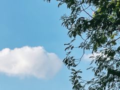 -大润发(梅兰东路店)